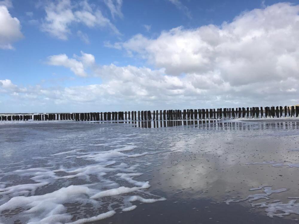 Duinvilla Aan De Zee B&B ザウテランデ エクステリア 写真