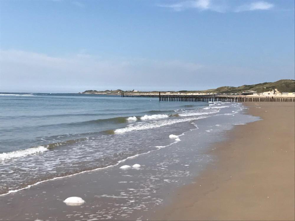Duinvilla Aan De Zee B&B ザウテランデ エクステリア 写真