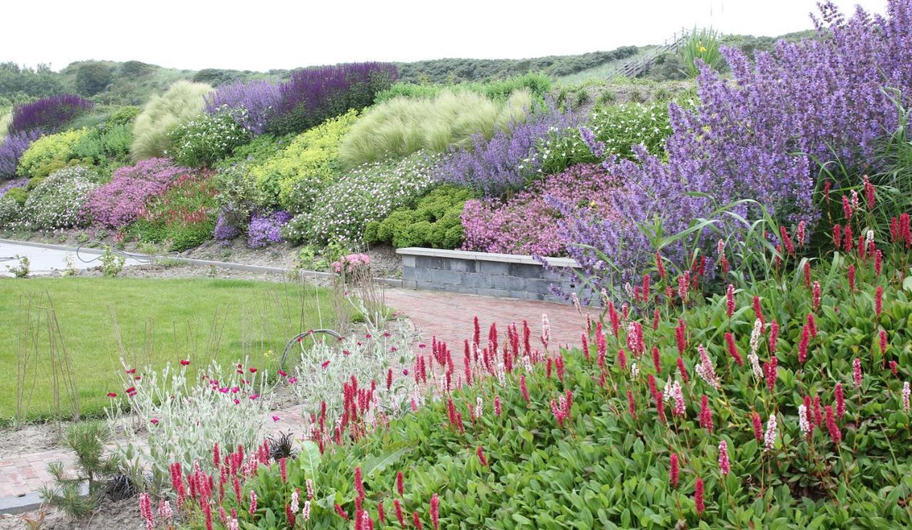 Duinvilla Aan De Zee B&B ザウテランデ エクステリア 写真